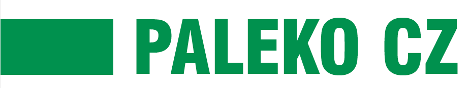Primary Raster logo